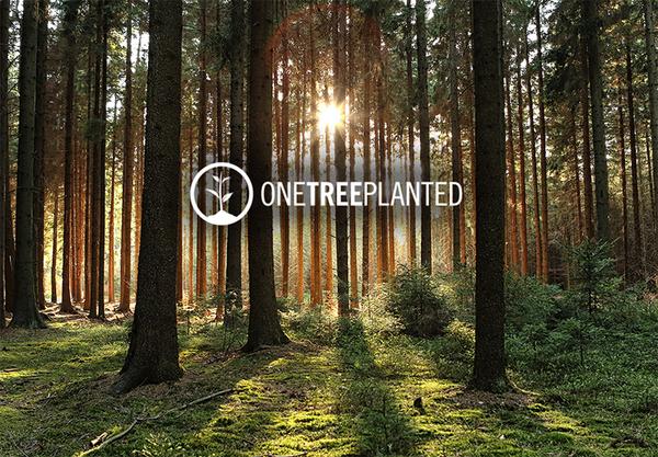 One Tree Planted logo on forest image